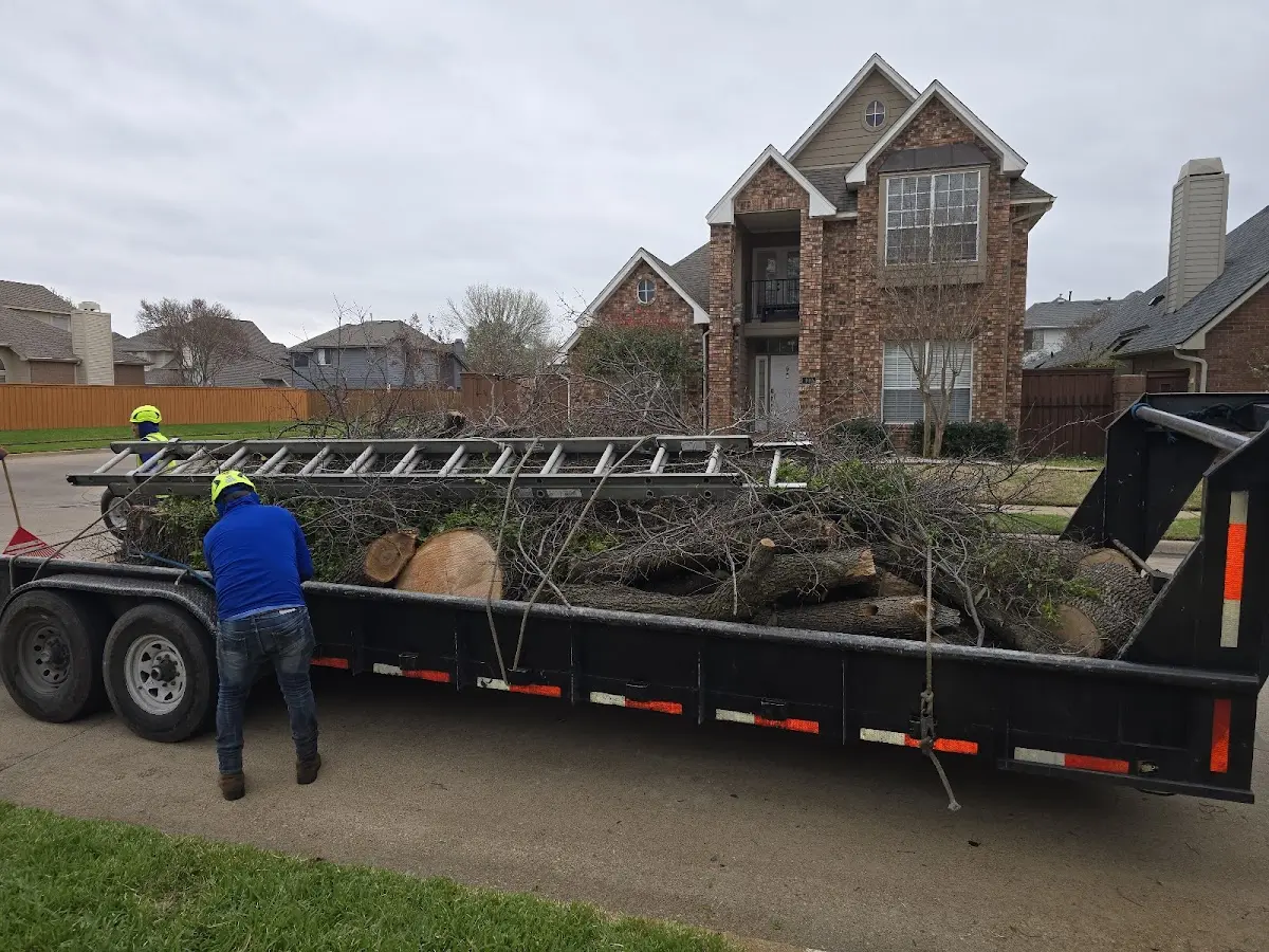 Expert Tree Fertilization with proper safety equipment in Temperance